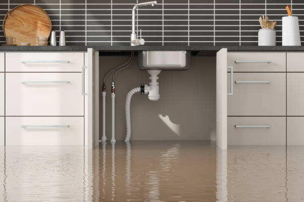 Best Sewage cleanup and water damage restoration  in USA